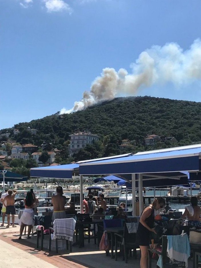 Heybeliada'da orman yangını kontrol altında