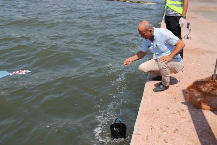 İzmir’de, ölü balıklar kıyıya vurdu