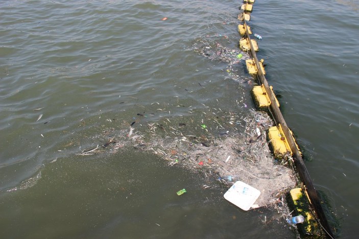 İzmir’de, ölü balıklar kıyıya vurdu