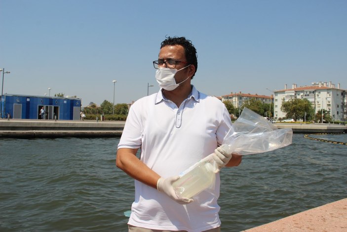 İzmir’de, ölü balıklar kıyıya vurdu