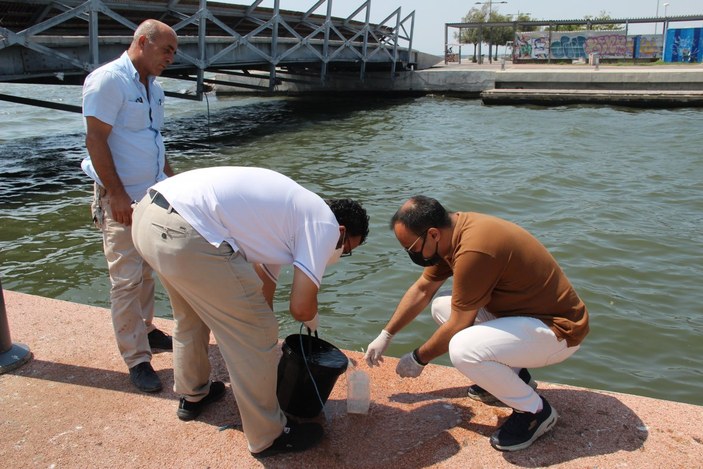 İzmir’de, ölü balıklar kıyıya vurdu