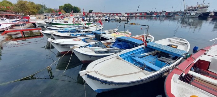 Marmara'da müsilajdan etkilenen balıkçılar 2 kat destek alacak
