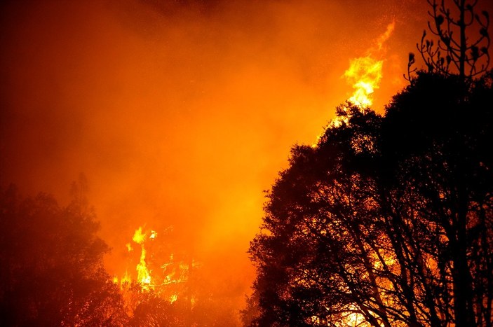 Kaliforniya'da orman yangınlarıyla mücadele devam ediyor