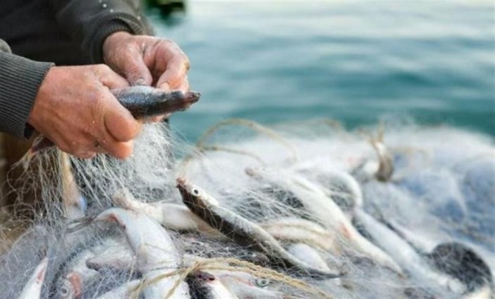 Denizlerde av yasağı ne zaman bitiyor? Balık sezonu tarihleri 2021