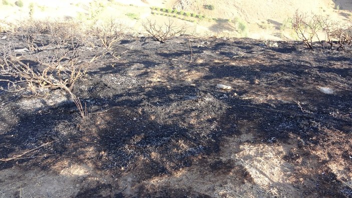 Bitlis’teki örtü yangını ormanlık alana sıçramadan kontrol altına alındı