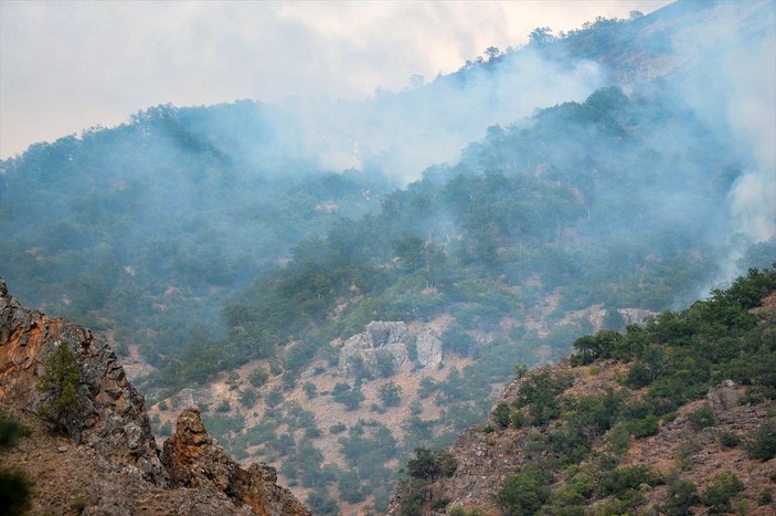 OGM: Orman yangınlarına müdahaleler sürüyor