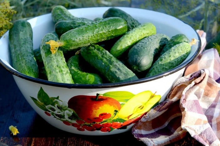 Tam mevsimi: Püf noktalarıyla salatalık turşusu tarifi