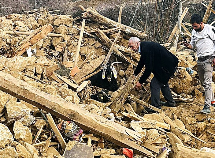 Kahramanmaraş’ta 637 saat sonra enkazdan 2 keçi canlı çıkarıldı