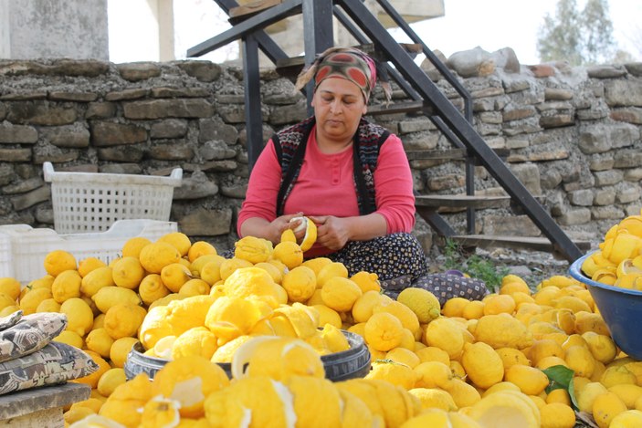 Adana'da atıl limonları ekonomiye kazandırıyorlar