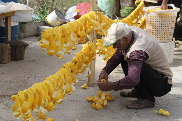 Adana'da atıl limonları ekonomiye kazandırıyorlar