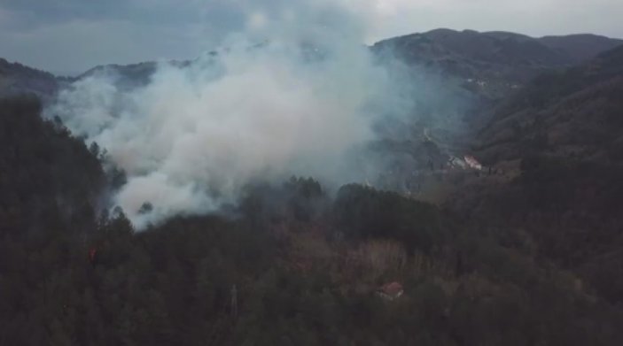 Kastamonu'da yol kenarına atılan sigara izmariti ormanlık alanda yangın çıkardı