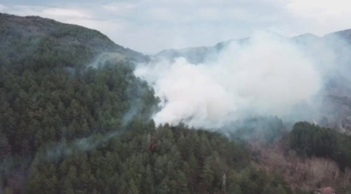 Kastamonu'da yol kenarına atılan sigara izmariti ormanlık alanda yangın çıkardı