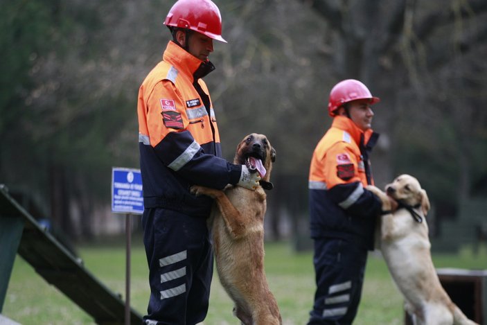TSK’nın depremde görev alan kahraman köpeklerine madalya
