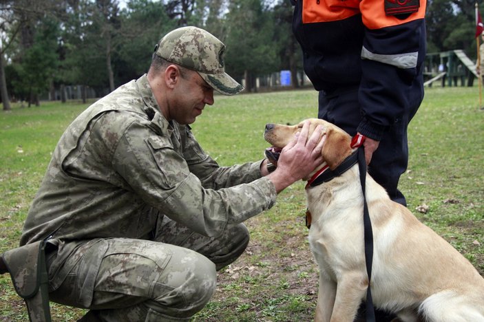 TSK’nın depremde görev alan kahraman köpeklerine madalya