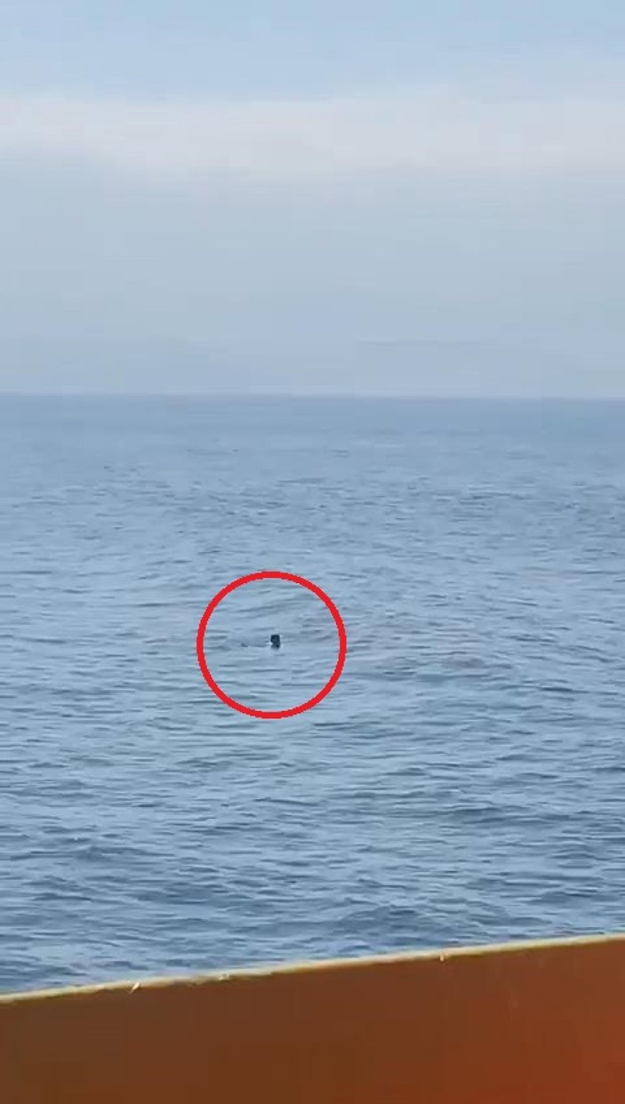 Marmara Denizi'nde feribottan atlayan yolcuyu Sahil Güvenlik ekibi kurtardı #6