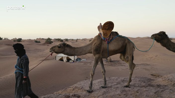 Sahra Çölü'nde göçebe yaşam: Bedeviler