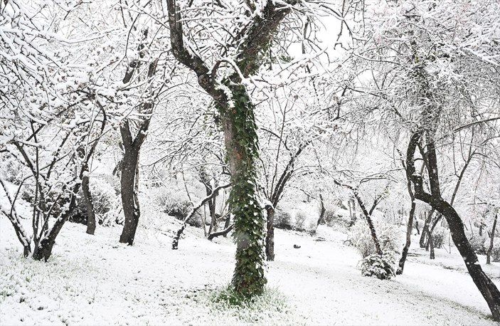 Ankara'da kar yağışı etkili oldu
