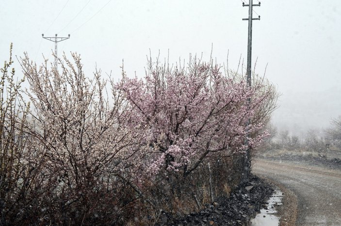 En az yağış alan illerden Aksaray'da kar yağışı sevindirdi #6