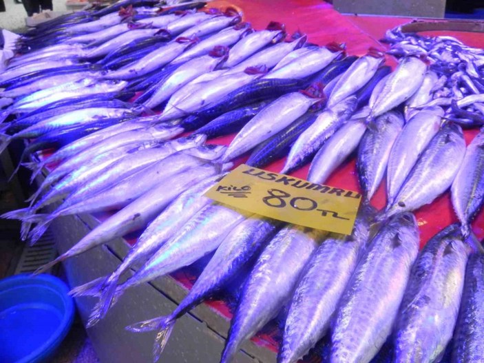 Ramazan ayının gelişi balık satışlarını arttırdı #6