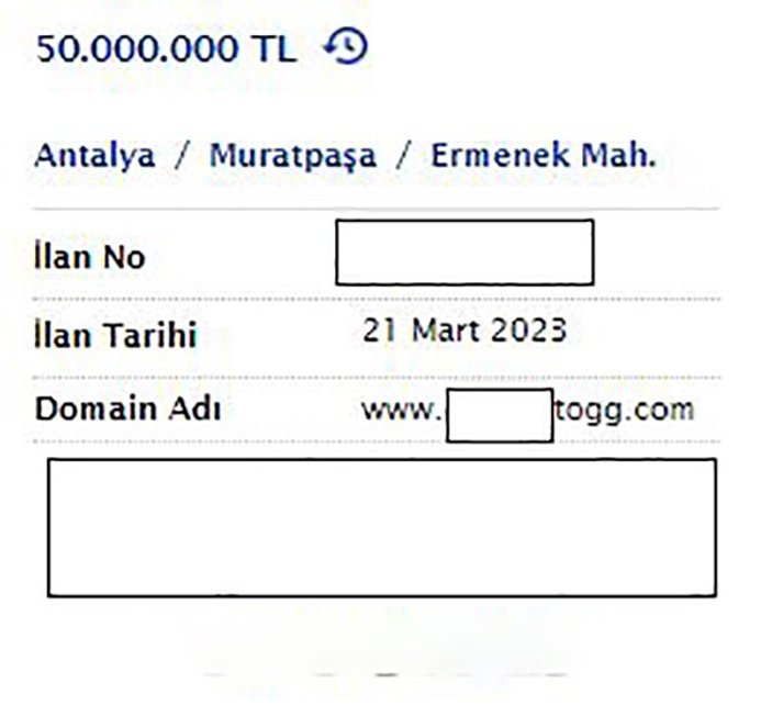 Togg'un adı bile yetti: Domain fiyatı bile milyonu buluyor