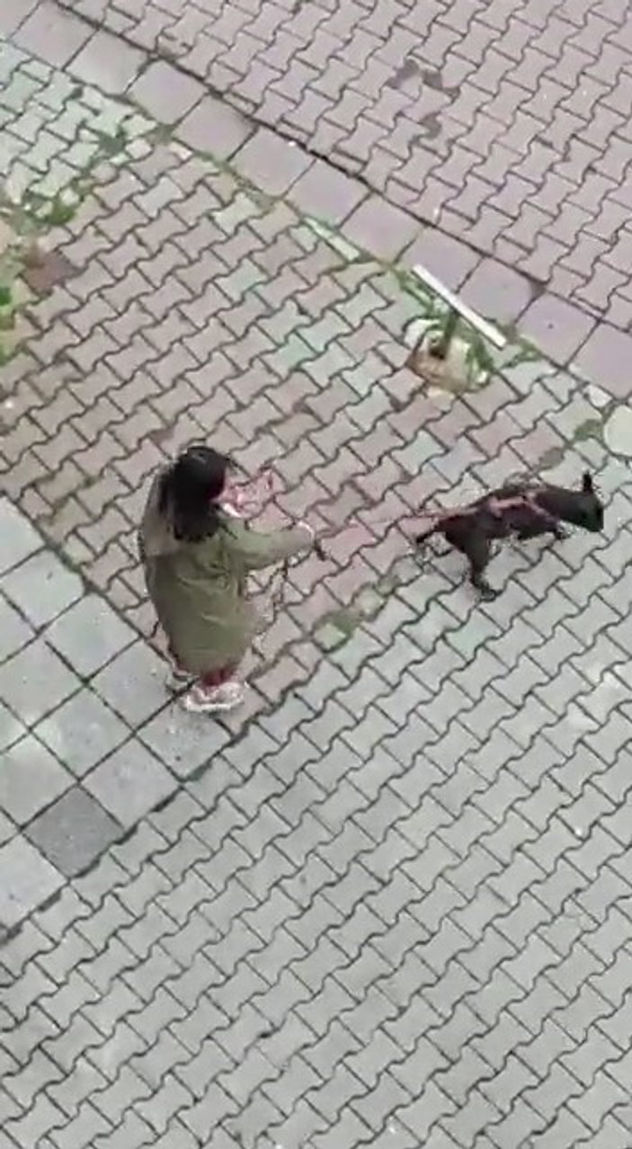 Kadıköy'de bir kadın Diyanet İşleri Başkanlığı'na bağlı Kur'an kursuna saldırdı
