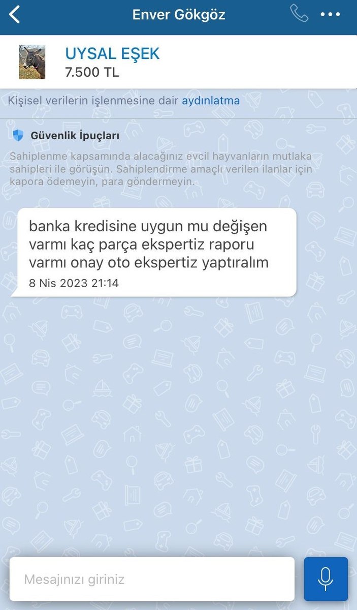 Pendik’te satılık eşek ilanını görenler ‘ekspertiz raporu var mı’ diye soruyor