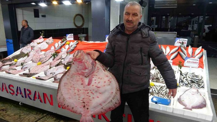 Karadeniz’de kalkan bolluğu: Kilosu 600 liradan satılıyor #1