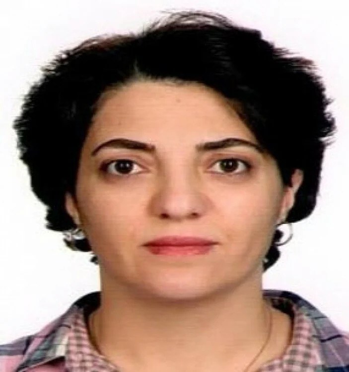 HDP milletvekili adayı Ayten Dönmez tutuklandı