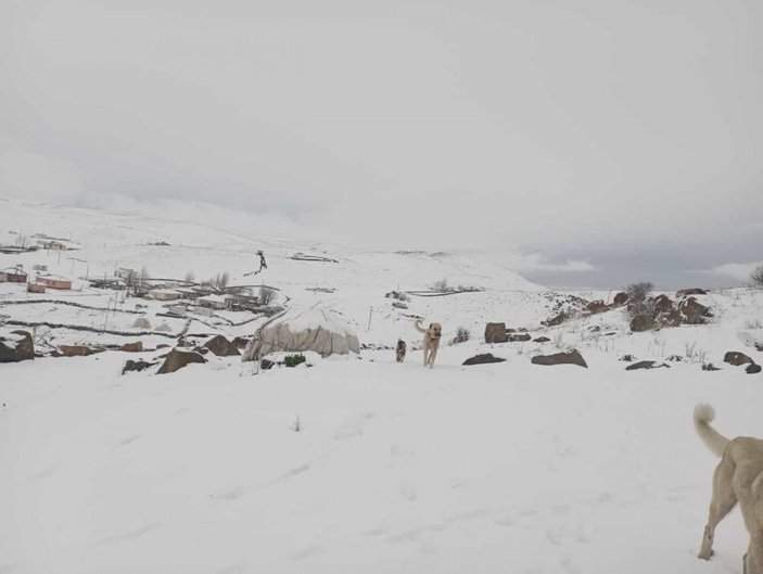 Diyarbakır, Bingöl ve Batman’da kar ile dolu etkili oldu #1
