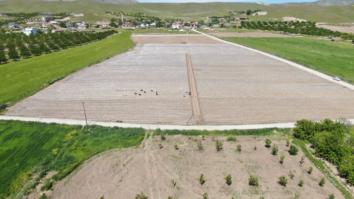 Elazığ'da mevsimlik işçi bulunamıyor