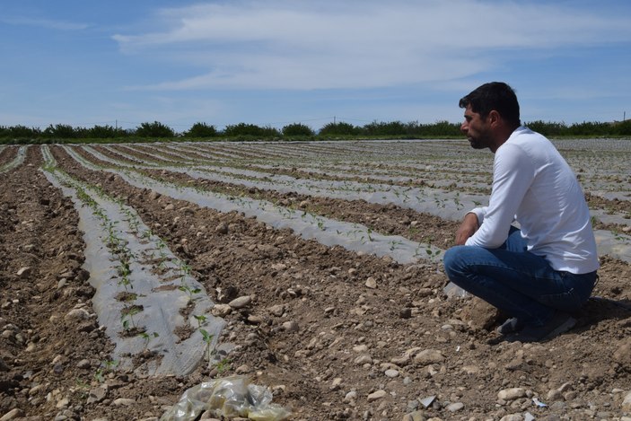 Elazığ'da mevsimlik işçi bulunamıyor