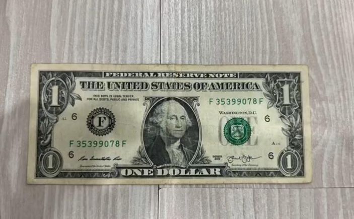 Fetullah Gülen'in yeğeni Asiye Gülen tutuklandı