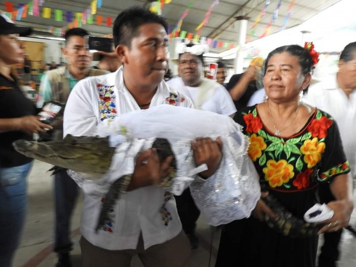 Meksika'da belediye başkanı bölgeye uğur getirmesi için bir timsahla evlendi