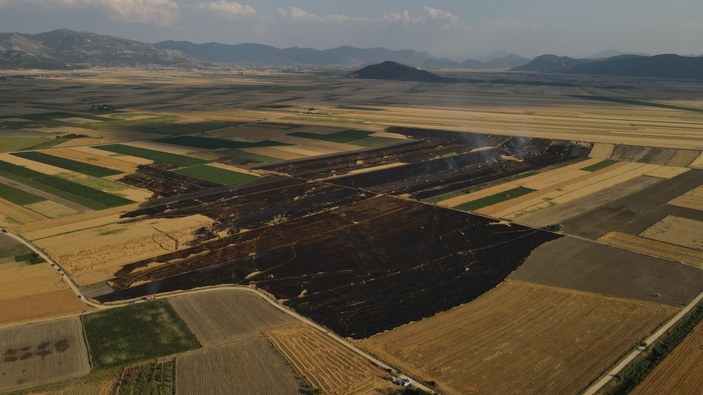 Burdur’da 800 dönüm tarım arazisi yangında küle döndü
