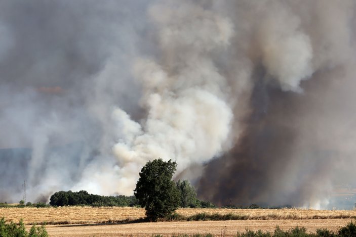 Edirne’de 2 bin dönüm buğday ekili alan yandı #10