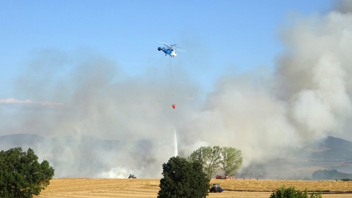 Edirne’de 2 bin dönüm buğday ekili alan yandı #3