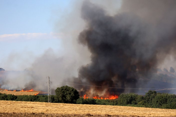 Edirne’de 2 bin dönüm buğday ekili alan yandı #5