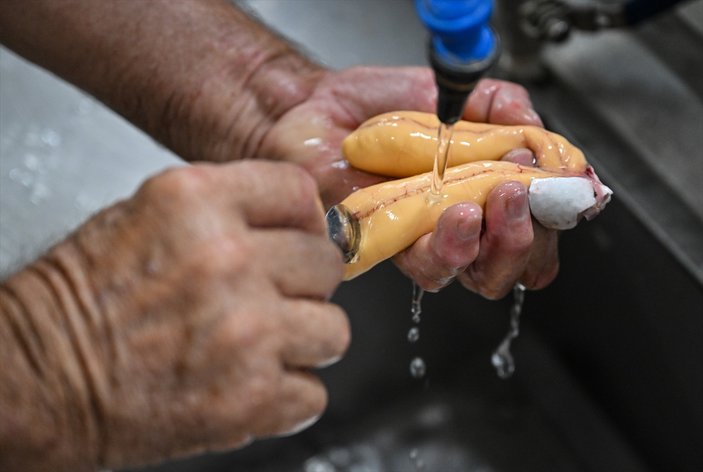 Muğla'da Dalyan Kanalı'ndaki balıkçılar sıcak havada zorlanıyor