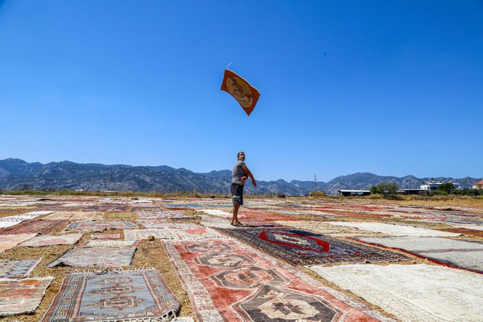 Antalya'da binlerce halının serildiği tarlalar renklendi