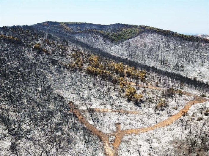 Türkiye'nin orman yangınlarıyla mücadelesi! Yirmi günde 295 yangın çıktı
