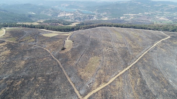 Türkiye'nin orman yangınlarıyla mücadelesi! Yirmi günde 295 yangın çıktı