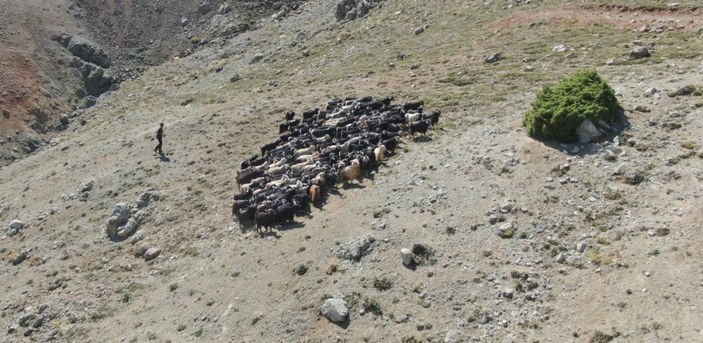 Elazığlı çoban Muhammet LGS'de Türkiye ikincisi oldu