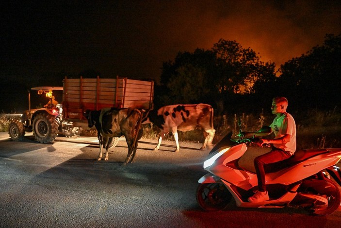Orman yangınlarında son durum: İzmir, Antalya ve Çanakkale'de mücadele sürüyor