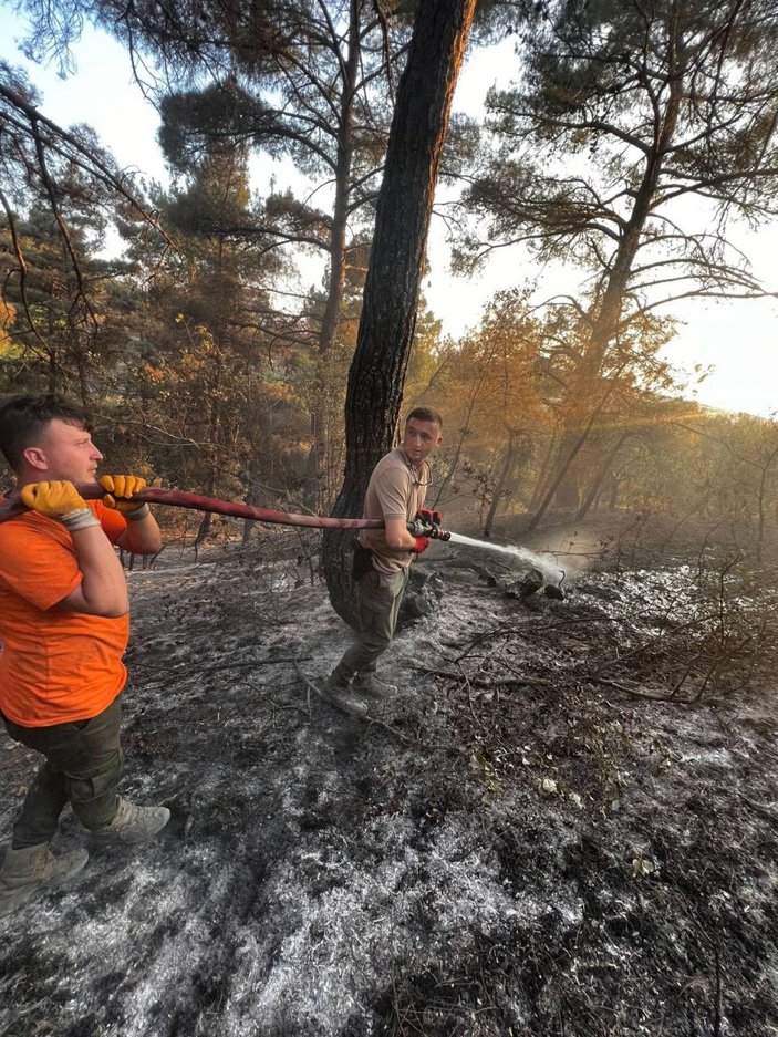 Orman yangınlarıyla mücadele sürüyor