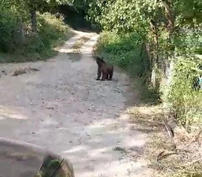 Bolu�da ay� ile k�yl�lerin komik diyalo�u