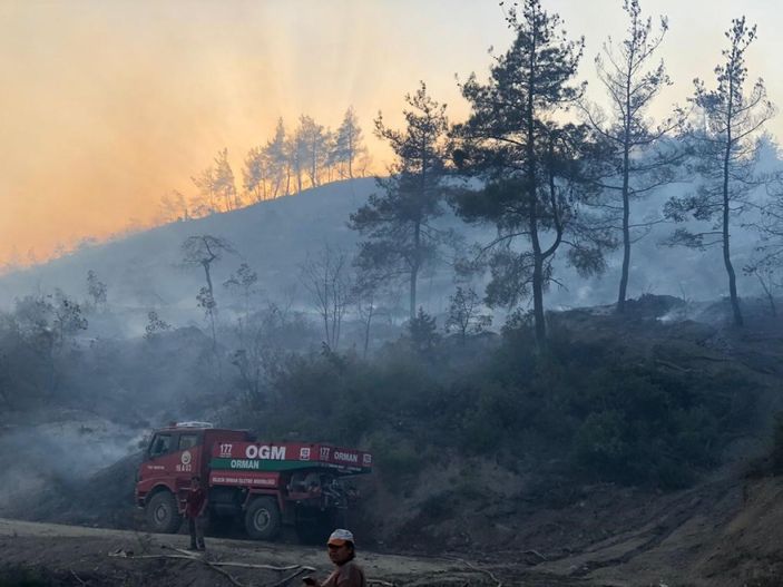 Bilecik'te çıkan orman yangını kontrol altına alındı