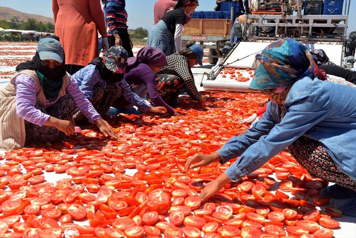 Kahramanmaraş'tan kurutulmuş domates ihracatı görsel şölen sundu