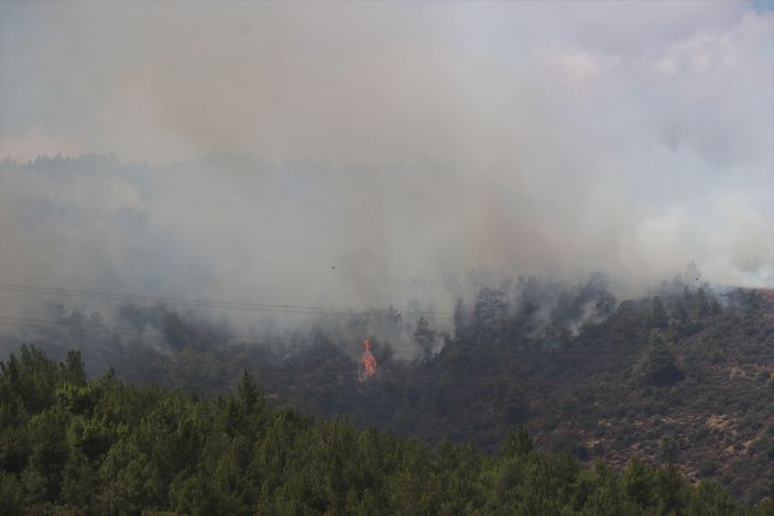 Hatay'da orman yangını başladı