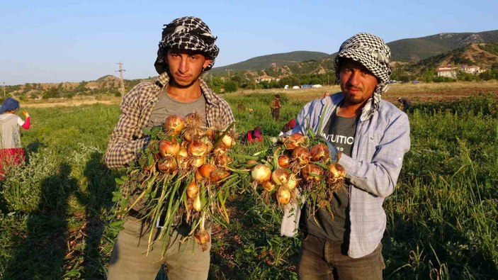 Soğan tarlada 5, tezgahta 15 lira #4