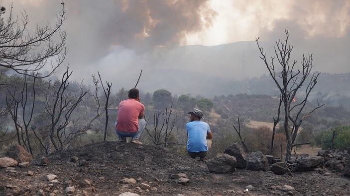 çanakkale'de orman yangını